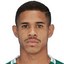 Flávio Henrique