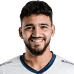 Jugador 13393