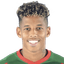 A. Vidigal