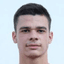 N. Savic