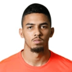 Jugador 266856