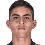 Jugador 273071