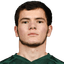 M. Matsuev