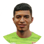 Jugador 291533