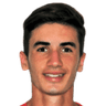F. Doğan