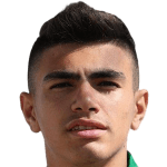 Jugador 310833