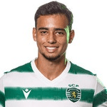 Jugador 320537
