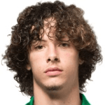 Jugador 334062