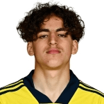 Jugador 338949