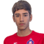 M. Avetisyan