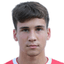 N. Vukic