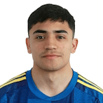 Jugador 363393