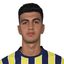 Y. E. Demir