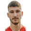 N. Ljubijankić