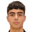 P. Manukyan
