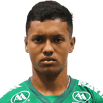 Jugador 396419