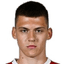 S. Mitrovic