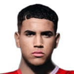 Jugador 403295