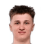 N. Mayorov