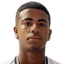 Matheus Ferreira