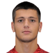 E. Vardanyan