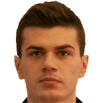 C. Ștefănescu