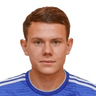 R. Minaev