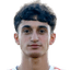H. Pahlevanyan