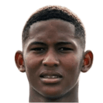 Jugador 455334