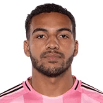 Jugador 455386