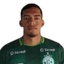 P. Henrique