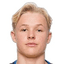 H. Andersson