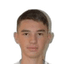 R. Domjanic