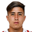N. Fernandez