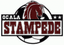 Ocala Stampede