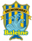 Baleine Shimonoseki