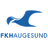 Haugesund U19