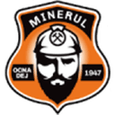 Minerul Ocna Dej