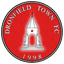 Dronfield Town