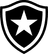 Botafogo ASF