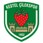 Kestel Çilek