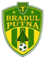 Bradul Putna