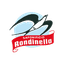 Rondinella