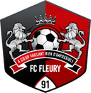 Fleury 91