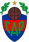 Atletico Pellegrini