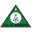 Bravos do Maquis FC