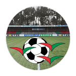 Zuidvogels