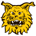 Ilves II
