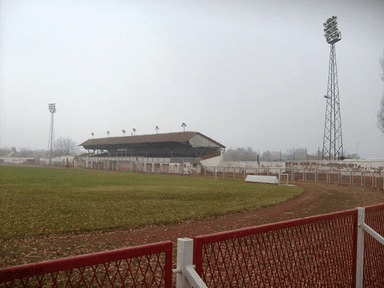 Gradski stadion