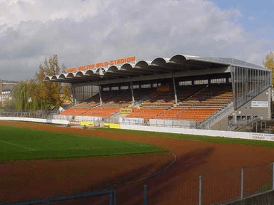 Hans-Walter-Wild-Stadion
